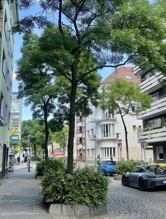 Wohnung zum Mieten in Düsseldorf 1.950 € 102 m²