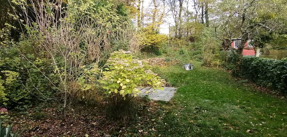 3-Parteien-Haus in Wuppertal-Vohwinkel – voll vermietet 11 zimmer