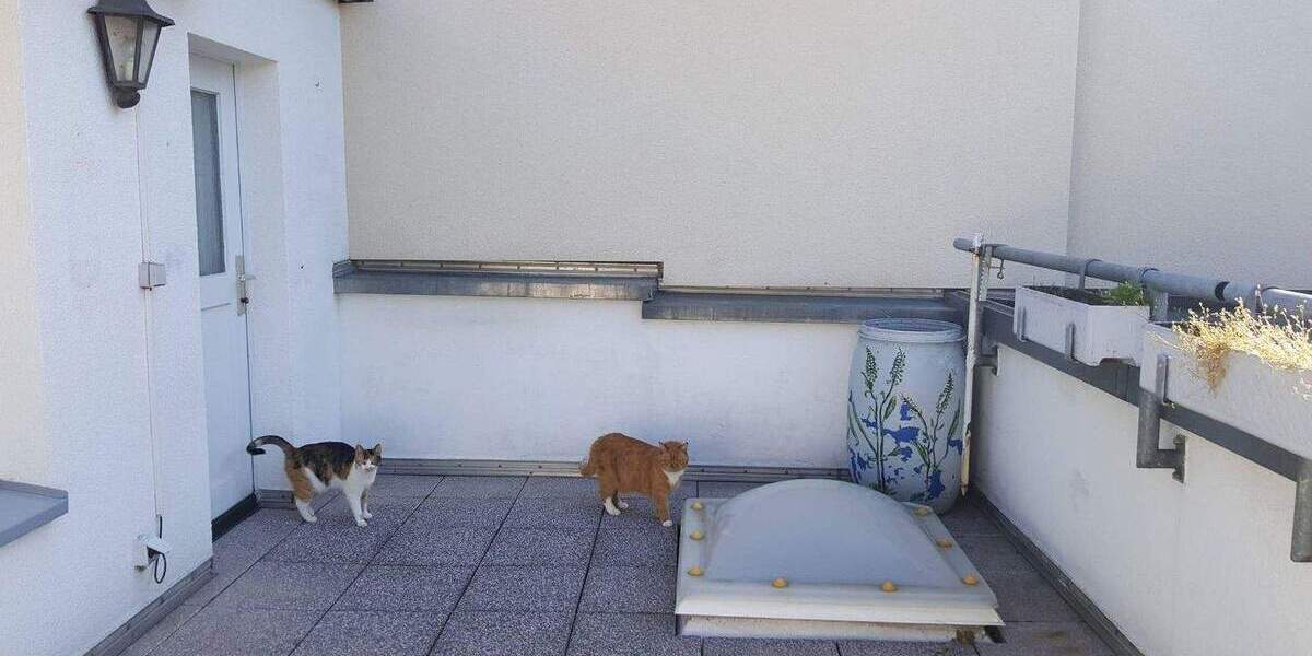 Modernisiertes 1 oder 2 Familienhaus in Langenfeld (Rheinland) 9 zimmer