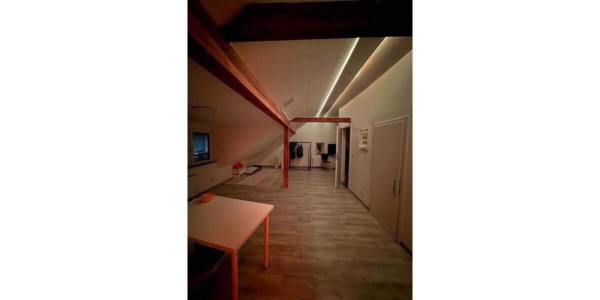 Exclusive Wohnung im Dachgeschoss im Loftstil 1.5 zimmer