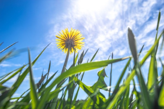Zentrales Baugrundstück in Meerbusch zimmer