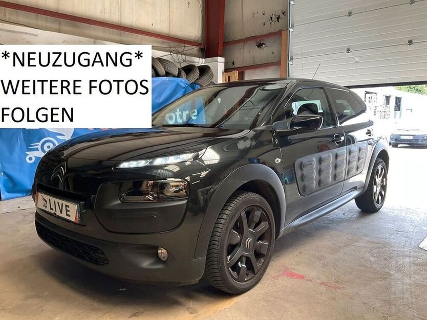 C4 Cactus
