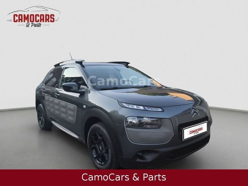 C4 Cactus