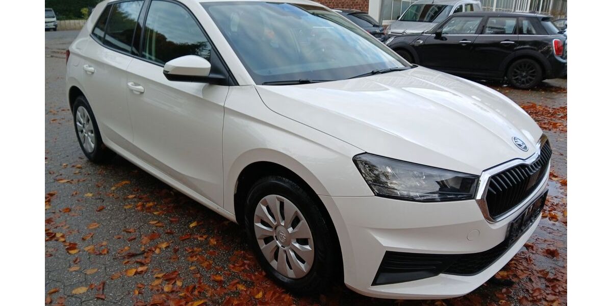 Skoda Fabia 245.000 km 7.950 &euro; Ratingen 40882