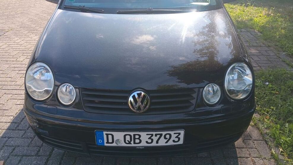 Polo
