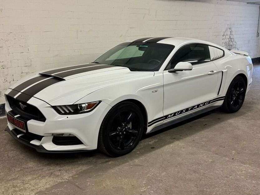 Mustang