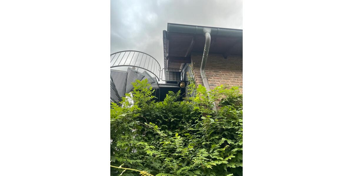 ruhige Dachgeschosswohnung OB Dümpten 1 zimmer