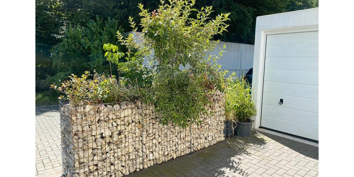 Doppelhaushälfte Krefeld Benrad - 3 Zimmer, 142 m&sup2;, 795.000&euro; | Angebot:27096817