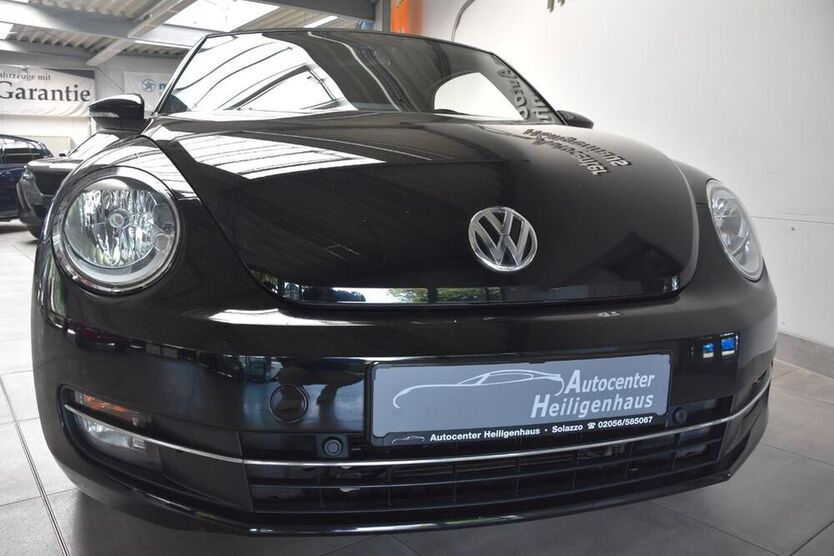 Beetle