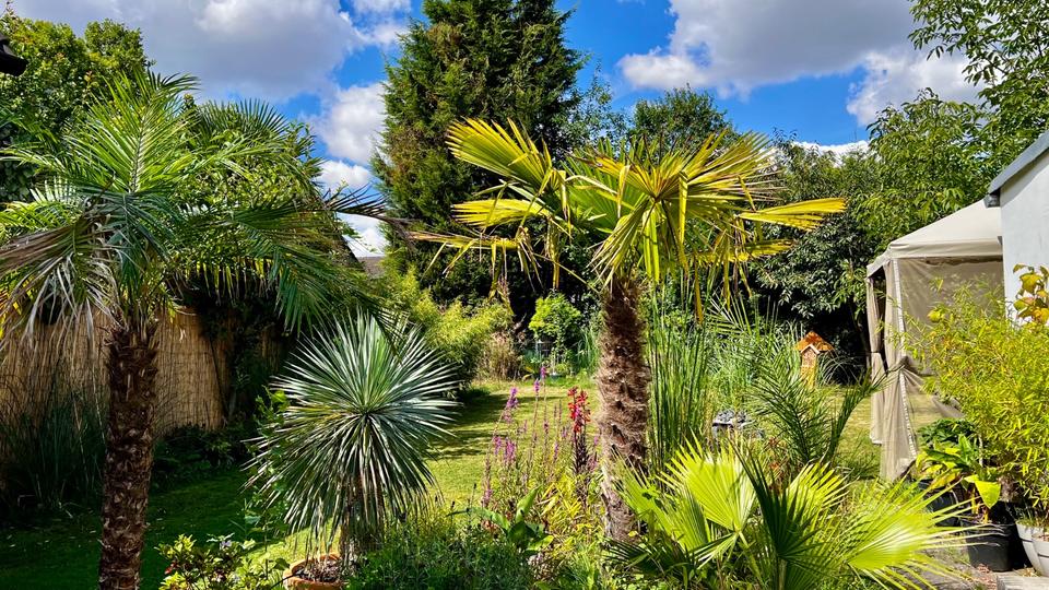 Einfamilienhaus mit Doppelgarage & PV-Anlage - provisionsfrei 3.5 zimmer