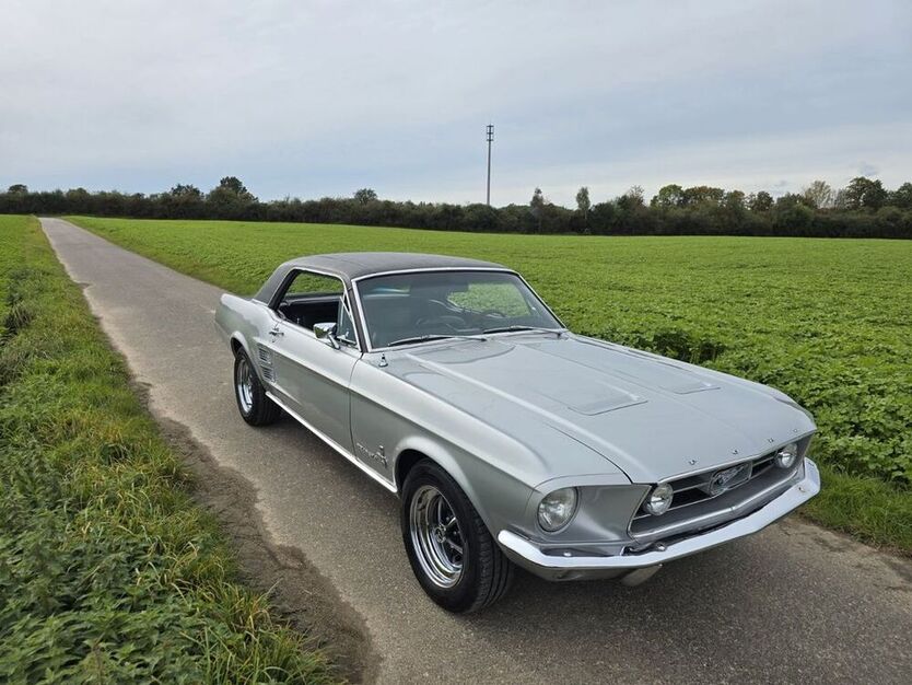 Mustang