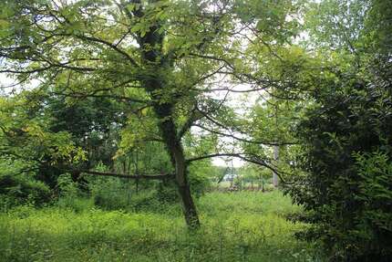 Grundstück zu verkaufen in Leichlingen 599.000 € 1580 m² zimmer