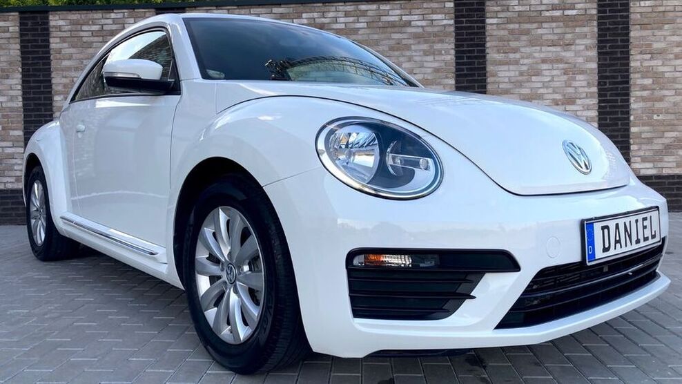 Beetle
