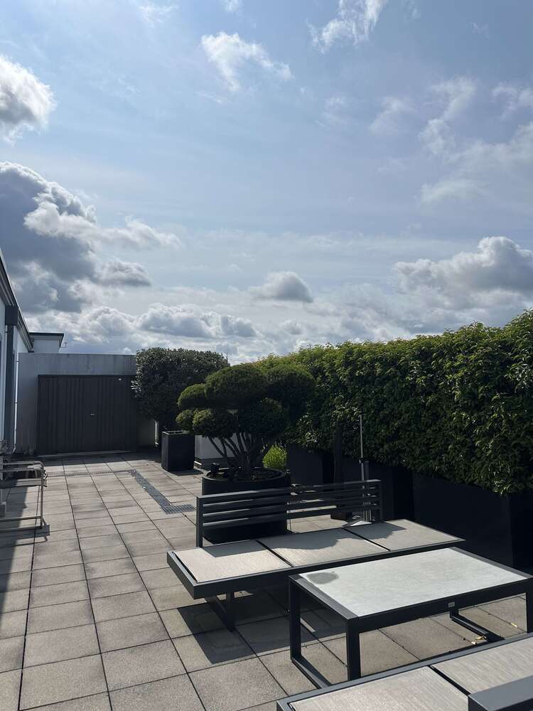 Wohnung zum Mieten in Düsseldorf 3.400 € 204 m²