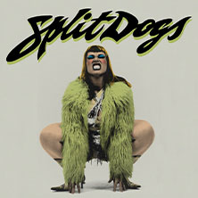SPLIT DOGS 06.11.2026 Mikropol