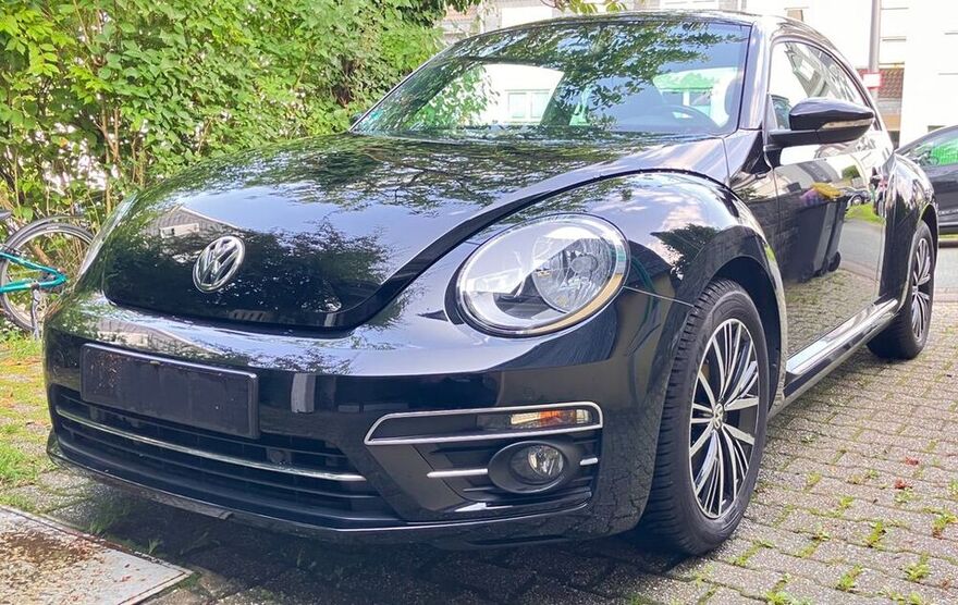 Beetle