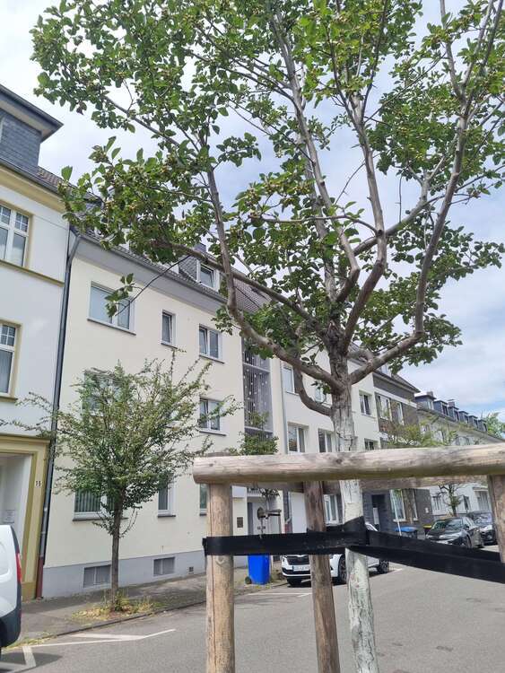 Büro in Hilden 830 € 80 m²
