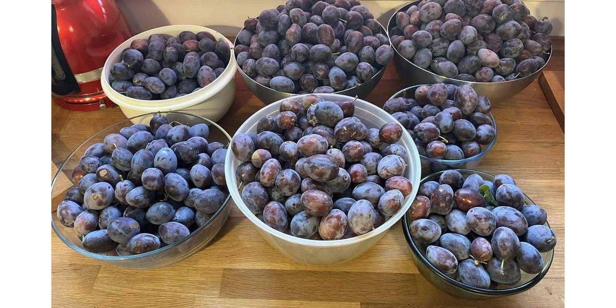 Ohne Makler! 20 min bis Düsseldorf! Modernes Reiheneckhaus in Kleinenbroich - mit großem Garten 5 zimmer