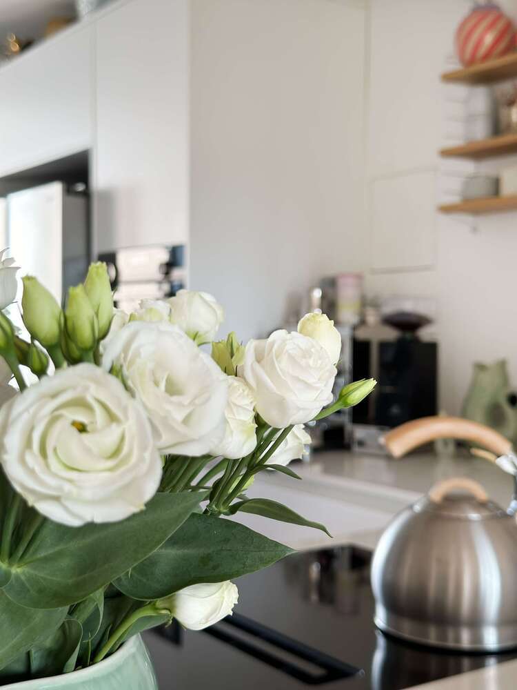 Wohnung zum Mieten in Düsseldorf 2.800 € 144 m²