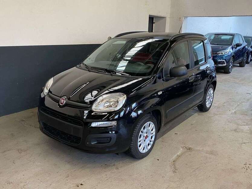 Panda