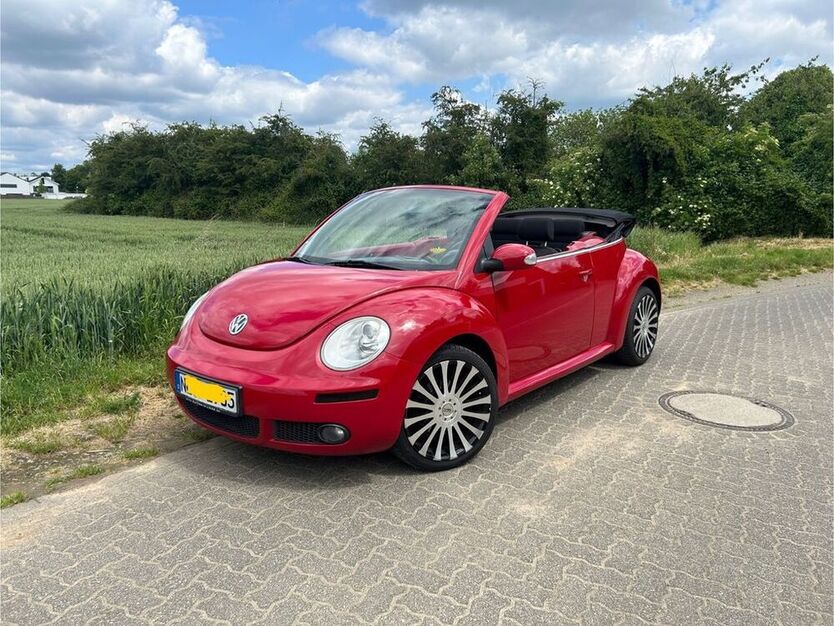 Beetle