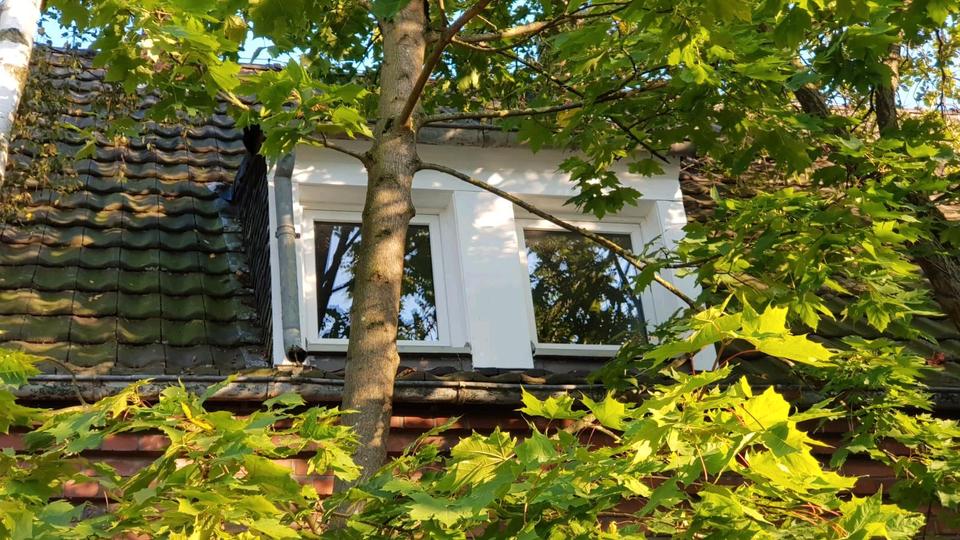 Etagenwohnung Kaarst - 3 Zimmer, 66 m&sup2;, 950&euro; | Angebot:25782640