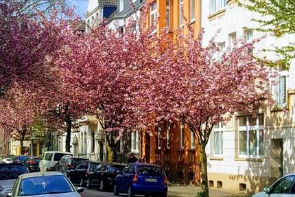 Vermietete, modernisierte 1,5-Zimmer-Wohnung in Mittelmeiderich 1.5 zimmer