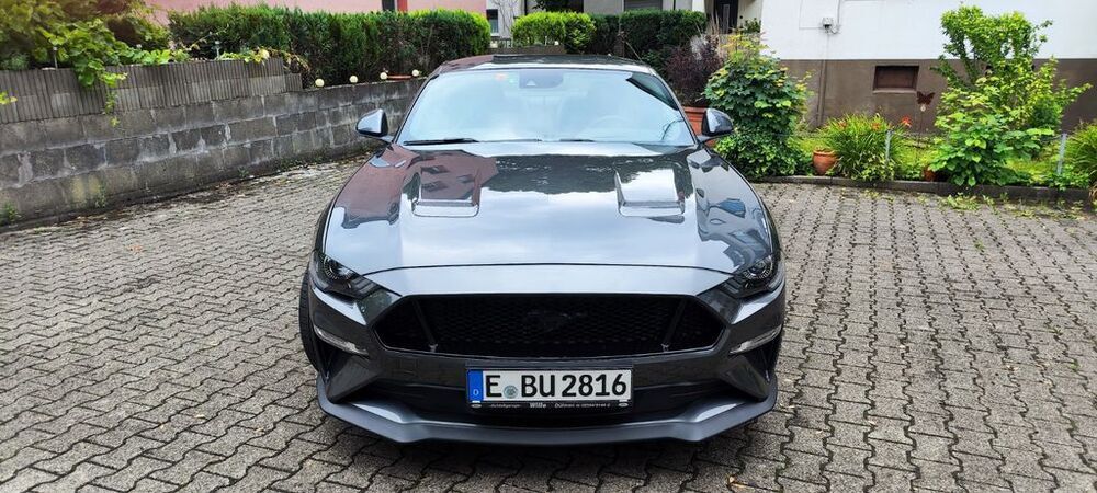 Mustang