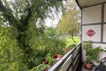 Wohnung Duisburg Hamborn - 3 Zimmer, 60 m&sup2;, 495&euro; | Angebot:27455944