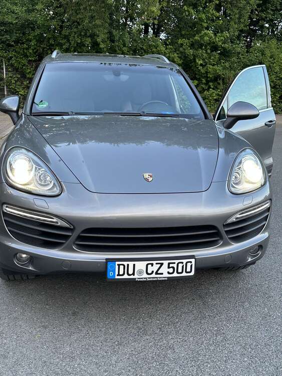 Cayenne