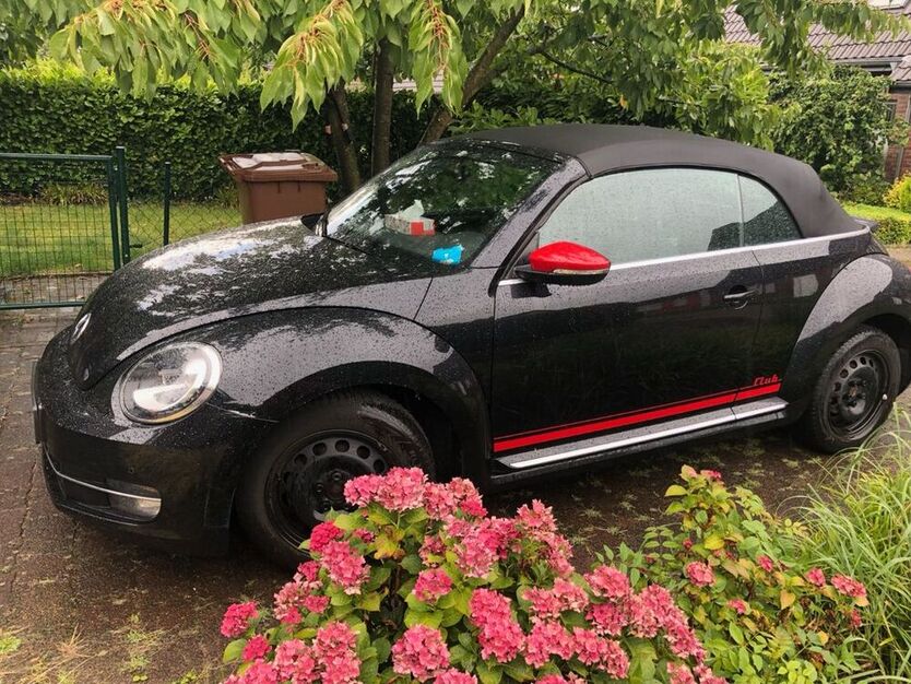 Beetle