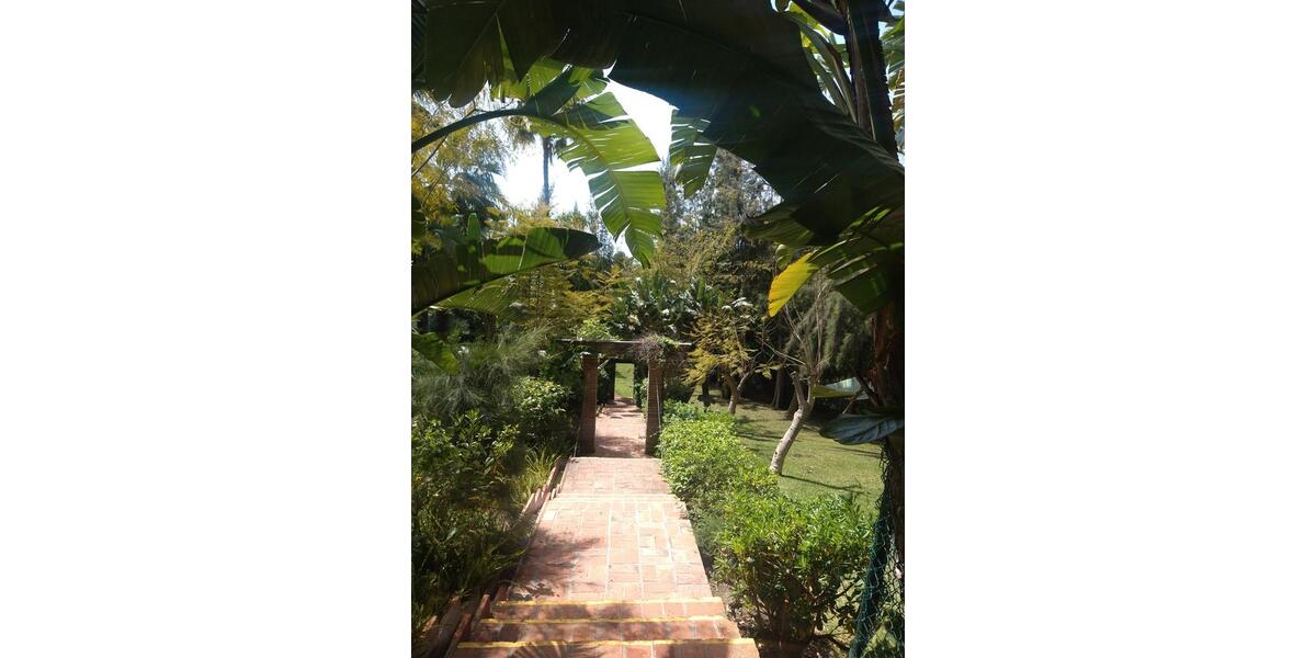 Ferienimmobilie Düsseldorf Lörick - 500&euro; | Angebot:25604349