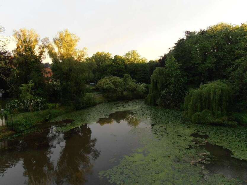 Grundstück zu verkaufen in Grevenbroich 796.630 € 1237 m²