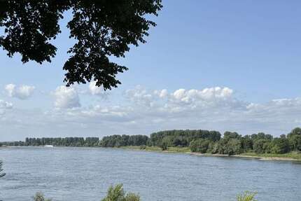 Wohnung zum Kaufen in Düsseldorf 1.495.000 € 183 m² 3 zimmer