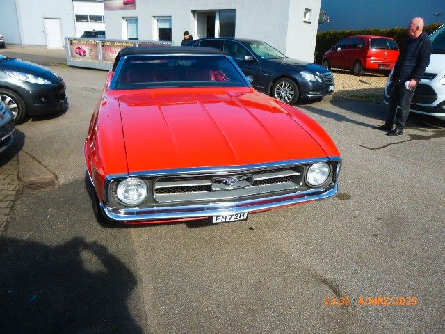 Mustang