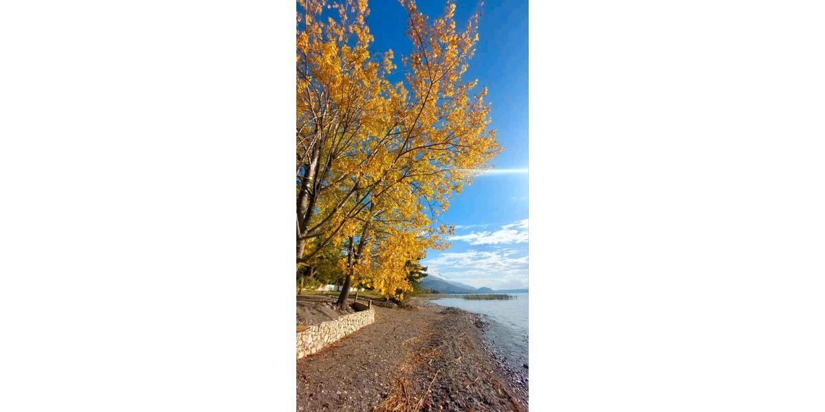 Ferienimmobilie Düsseldorf Stadtbezirk 8 - 37&euro; | Angebot:25562830