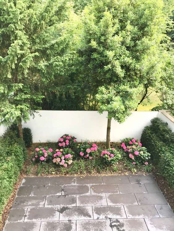 Wohnung zum Mieten in Düsseldorf-Oberkassel 1.850 € 100 m²