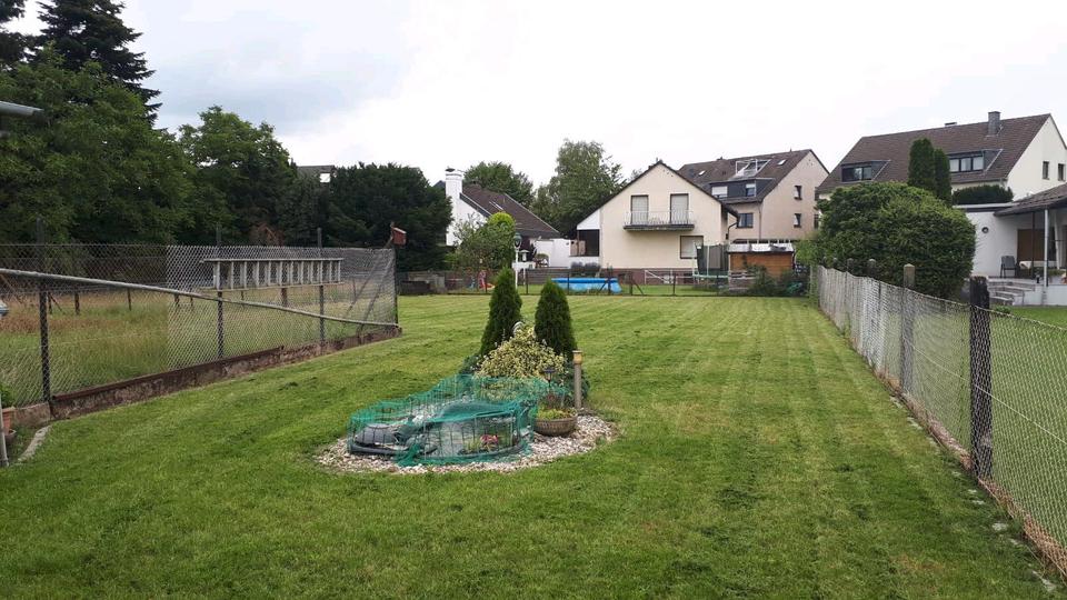 Grundstück in Leverkusen 3 zimmer