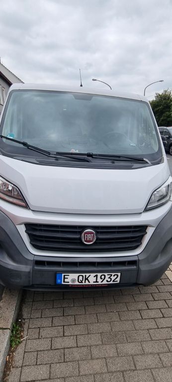 Ducato