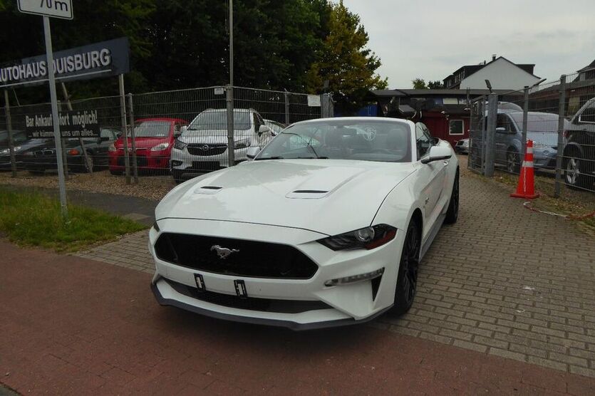 Mustang