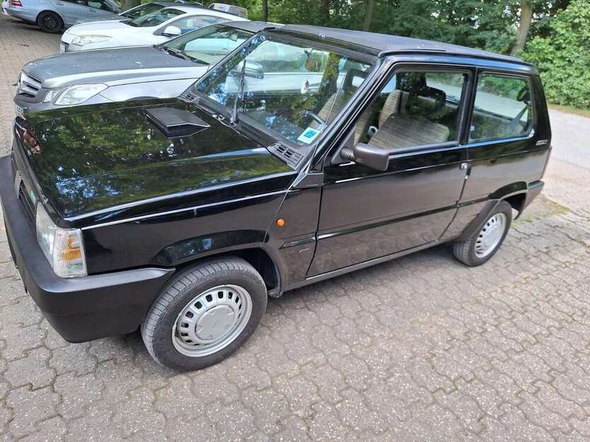Panda