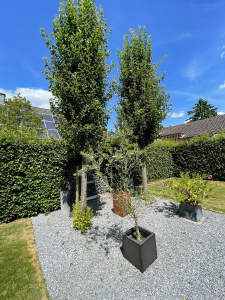 Pure Eleganz in Alt-Korschenbroich. Rarität! - Einfamilienhaus Korschenbroich | Angebot:27048380
