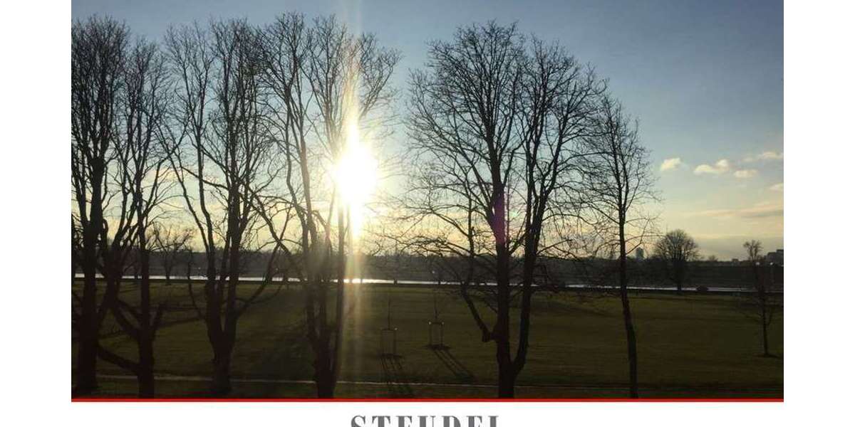 Wohnung zum Kaufen in Düsseldorf 6.250.000 € 405 m² 7 zimmer