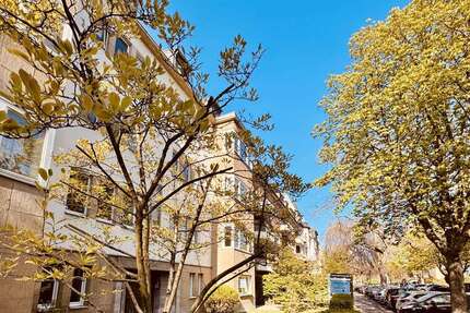 Wohnung zum Kaufen in Düsseldorf 843.000 € 210 m²