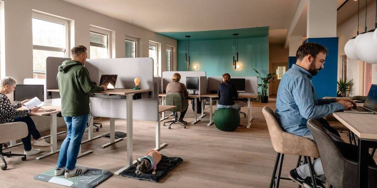 Gewerbeobjekt Hilden Karnap - 249&euro; | Angebot:26898189