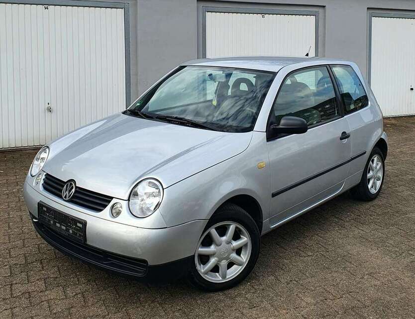 Lupo
