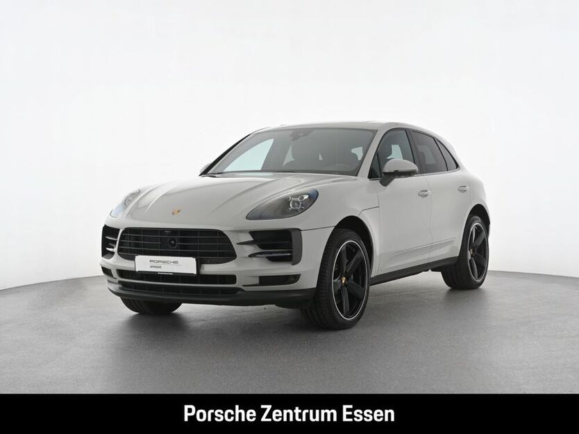 Macan