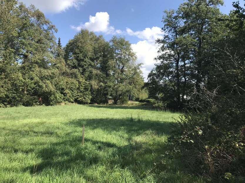 Haus zum Kaufen in Mülheim 1.998.000 € 248 m²