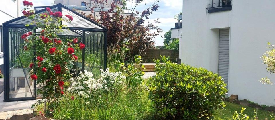 Erdgeschoßwohnung Solingen Central - 2 Zimmer, 86 m&sup2;, 1.000&euro; | Angebot:26367908