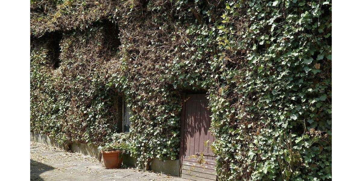 Mehrfamilienhaus, Wohnhaus Düsseldorf Urdenbach - 4 Zimmer, 121 m&sup2;, 739.000&euro; | Angebot:26806243